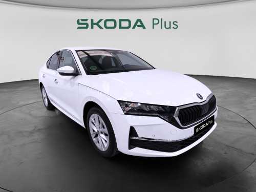SKODA Plus 2.0 TDI 150CV DSG