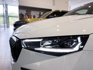 SKODA 