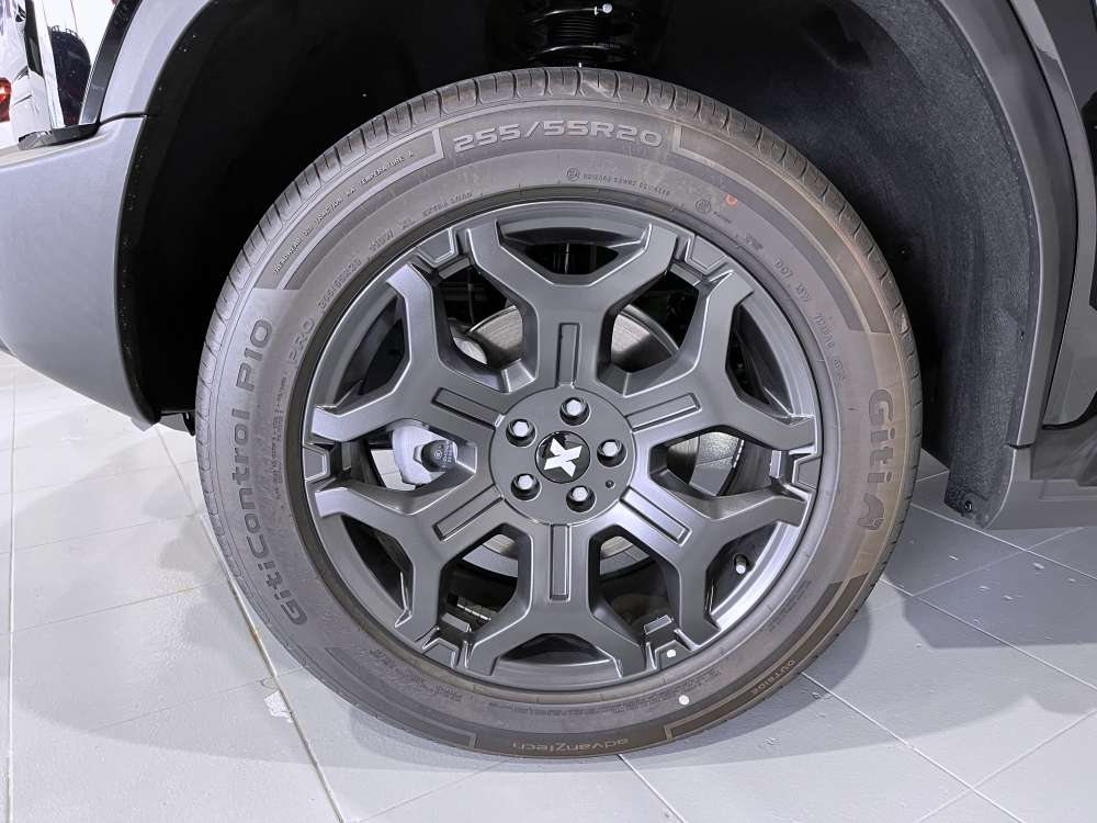 ICH-X 