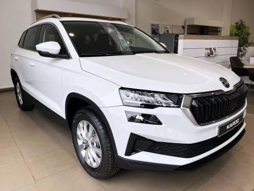 SKODA Selection 4X4 2.0 TDI 150CV DSG